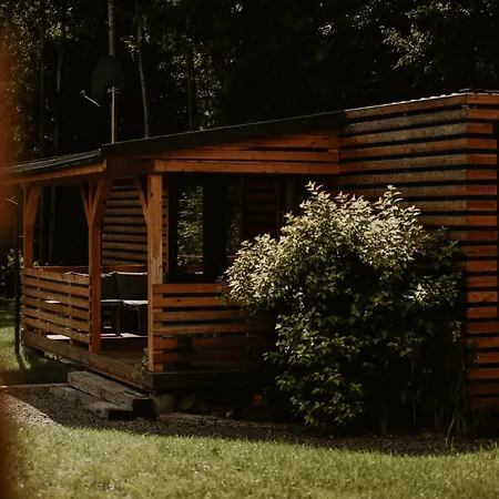 Woodbox * Истебна