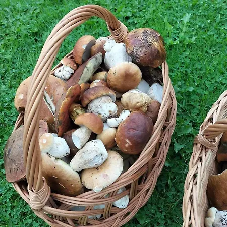 Διαμέρισμα Woodbox *