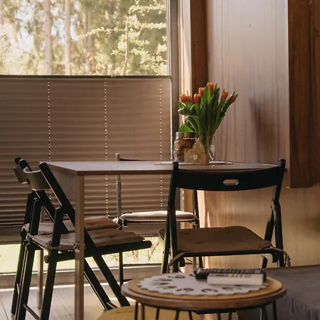 Διαμέρισμα Woodbox Istebna