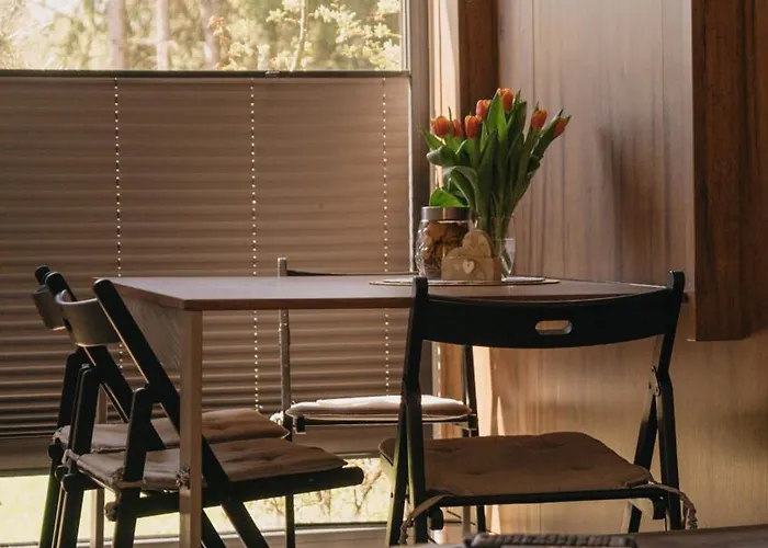 Daire Woodbox Istebna